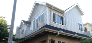 talang putih roynalrainline di rumah putih